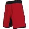 MMA Shorts