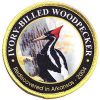 Embroidery Patch